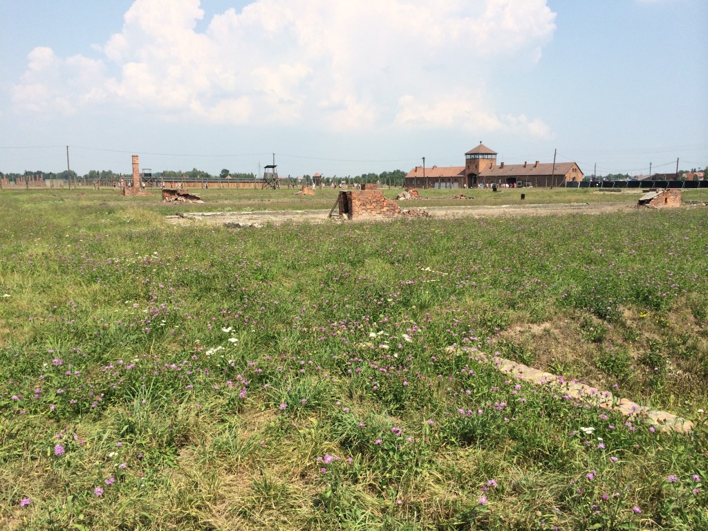 birkenau