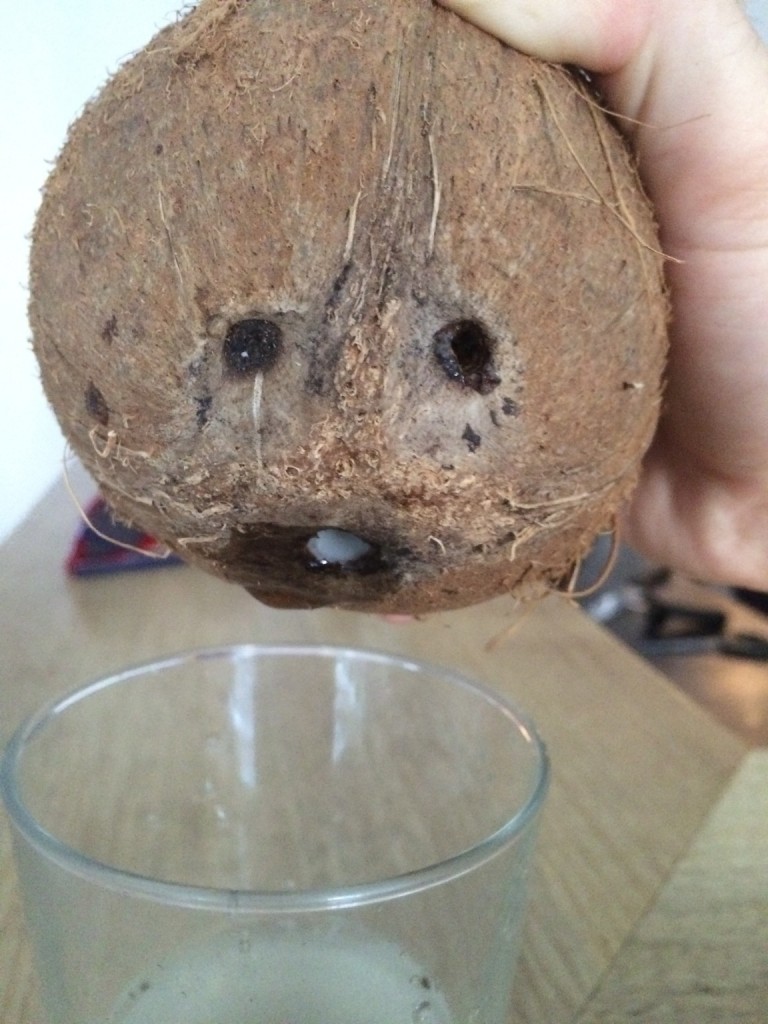coconut_face