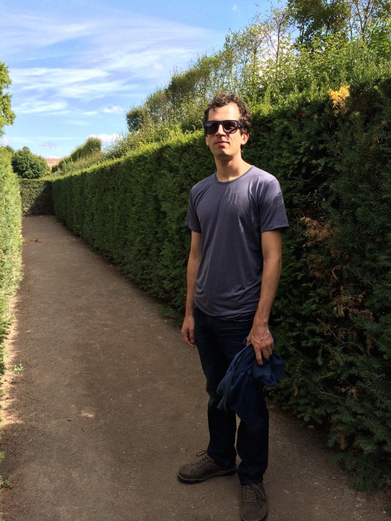 Lost in the hedge maze