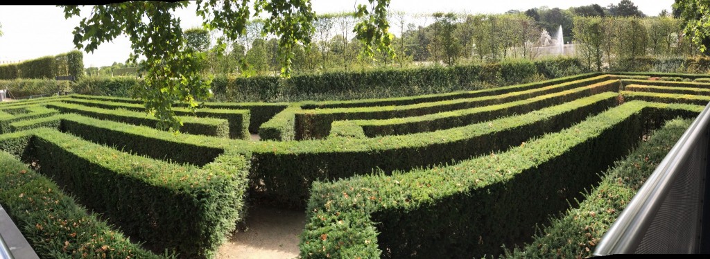 schonbrunn hedge maze